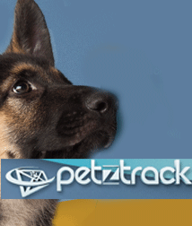 Pet Licenses online